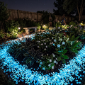 Glow-in-the-Dark Ambient LED Garden Pebbles - Luminous Pathway & Flower Bed Decor